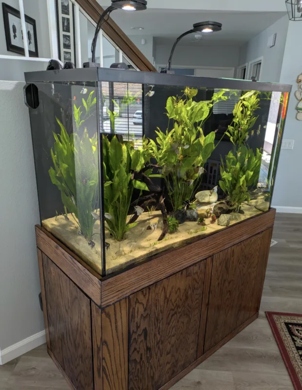 Douglas's Custom Fish Tank LED Light Brackets 2 CleanShot 2026 07 10 at 17.00.47@2x
