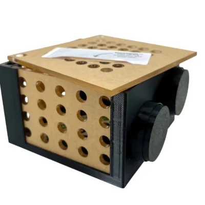 Anemone Boxes