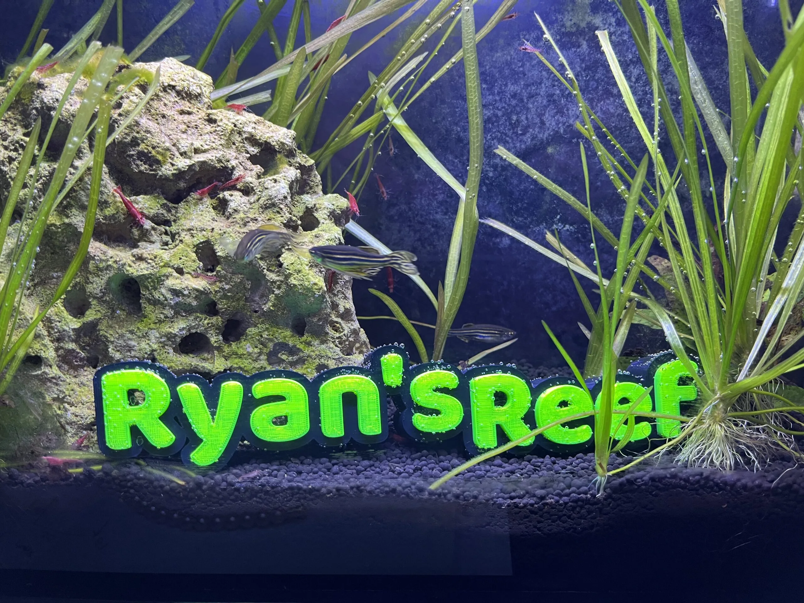 3D Custom Name Sign Aquarium Single-Line Tank Fish Name Plate, Desk Sign Plate, Great Gift!
