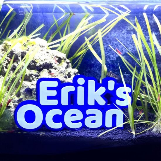 3D Custom Name Sign Aquarium Double-Line Tank Fish Name Plate, Desk Sign Plate, Great Gift!