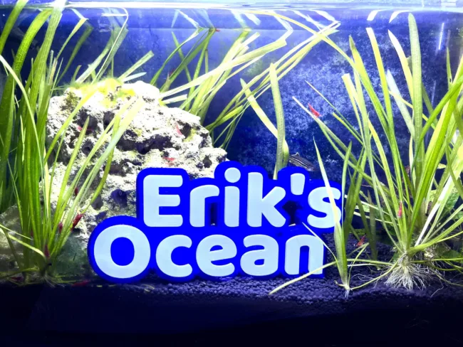 3D Custom Name Sign Aquarium Double-Line Tank Fish Name Plate, Desk Sign Plate, Great Gift!