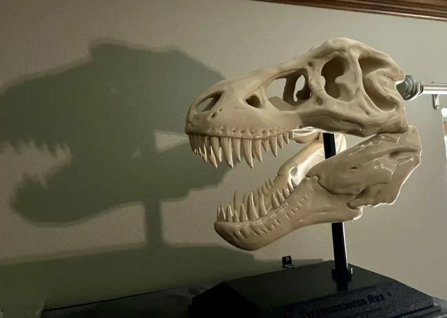 The 14" Large T-Rex Skull - 3D Printed Large! Perfect for your Work Study Desk or Office. - Image 3