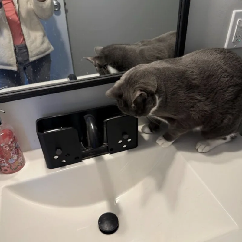 Image #1 from Sherry Hemond