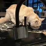 Image #2 from jaostkd